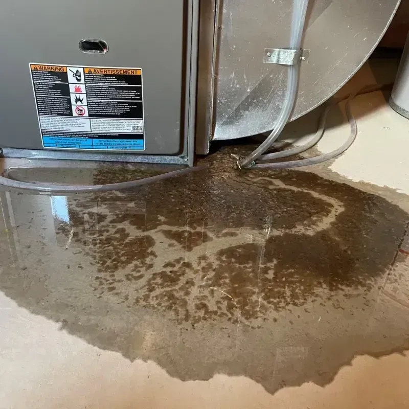 Appliance Leak Cleanup in Heppner, OR